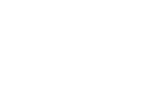 half_bnr_business